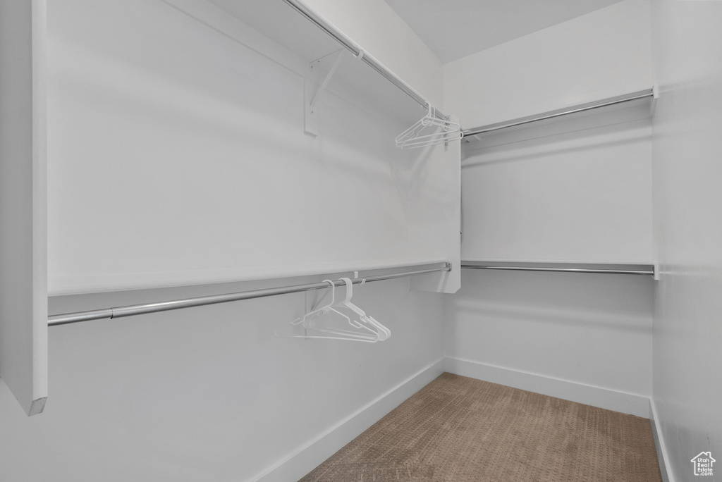 Spacious closet featuring carpet flooring