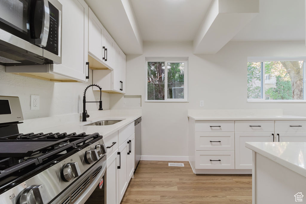 Kitchen featuring a sink, stainless steel appliances, plenty of natural light, and light wood-style floors