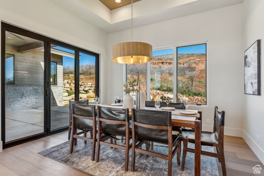 Dining area with a tray ceiling, a wealth of natural light, light wood-type flooring, and baseboards