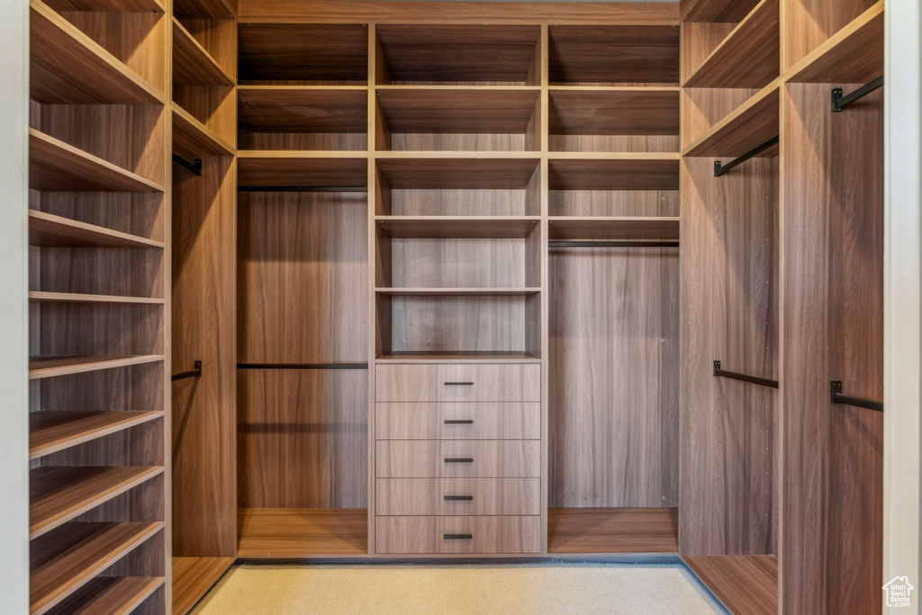 View of walk in closet