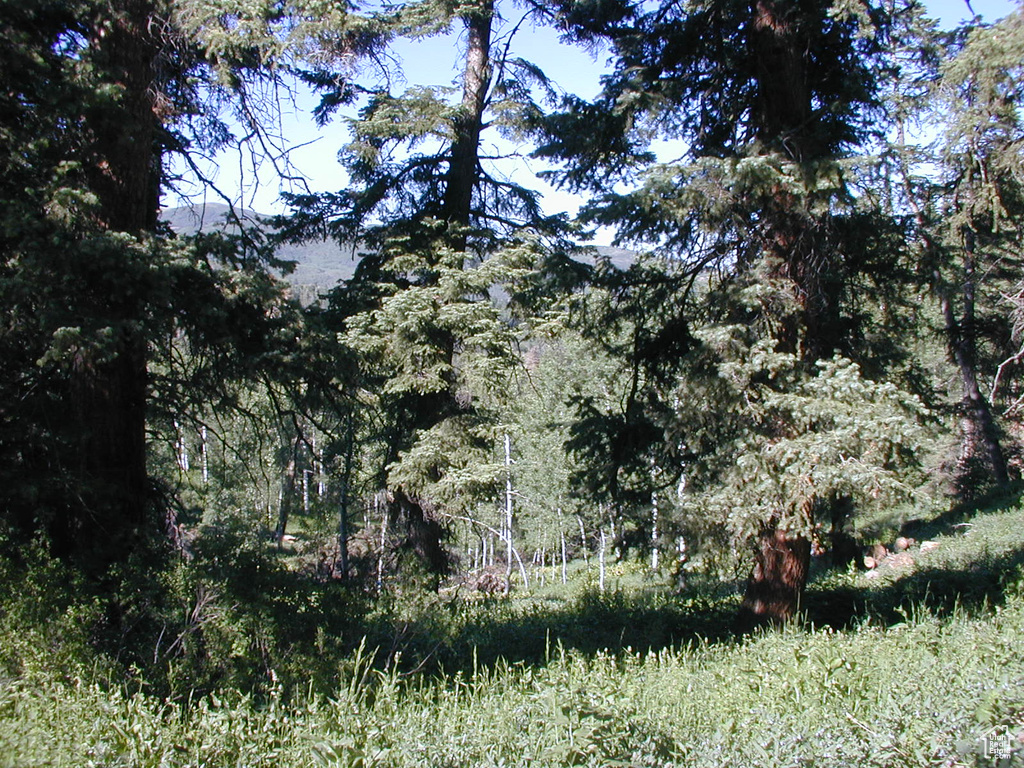 View of nature featuring a forest view