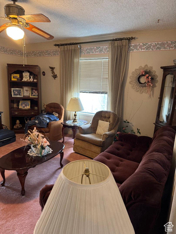 Living room featuring a textured ceiling and a ceiling fan
