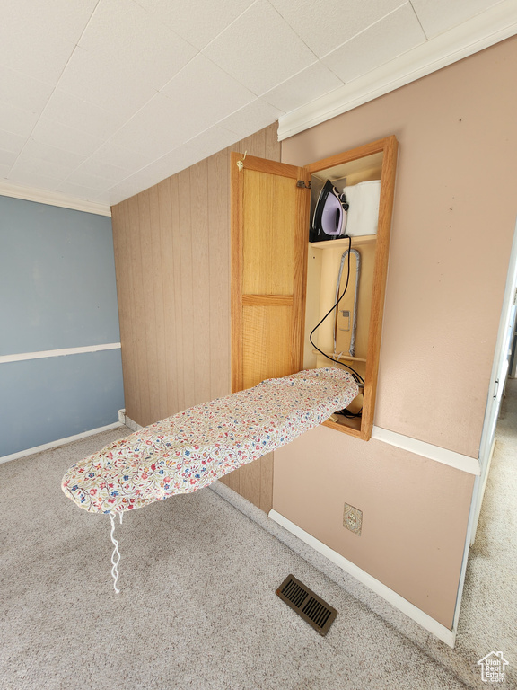 Interior space with wood walls, carpet, baseboards, and visible vents