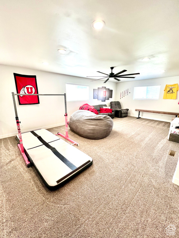 Interior space featuring baseboards, multiple windows, and carpet floors