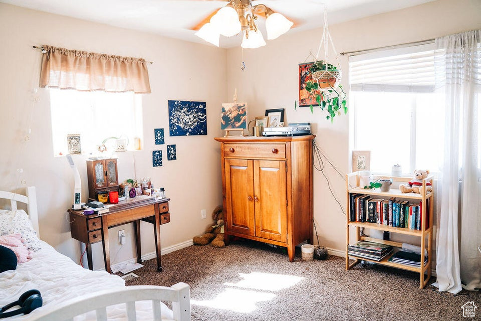 Carpeted bedroom with baseboards and multiple windows