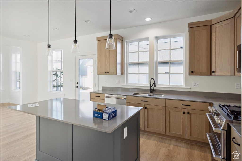 Kitchen featuring a sink, stainless steel appliances, light wood-type flooring, plenty of natural light, and recessed lighting