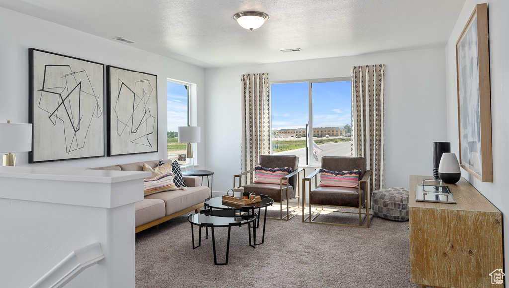Living room with carpet flooring, plenty of natural light, and visible vents