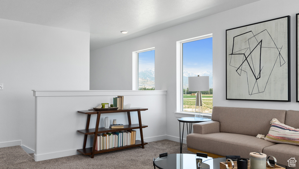 Carpeted living area with baseboards