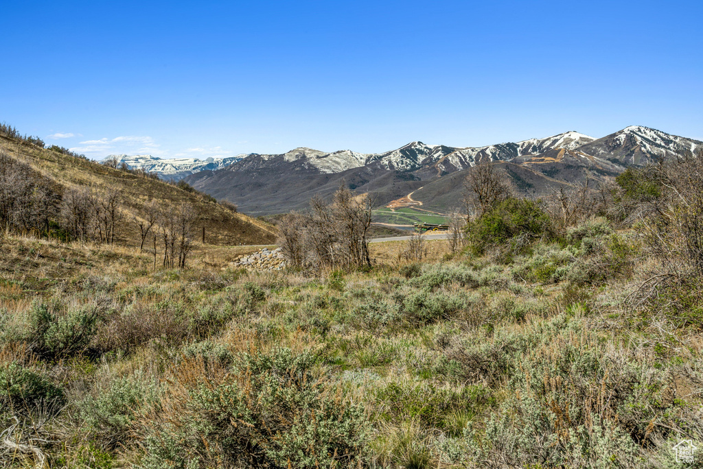 Property view of mountains