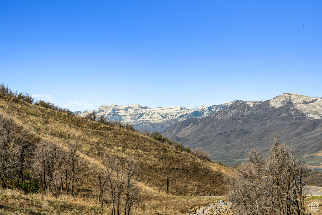 Mountain view