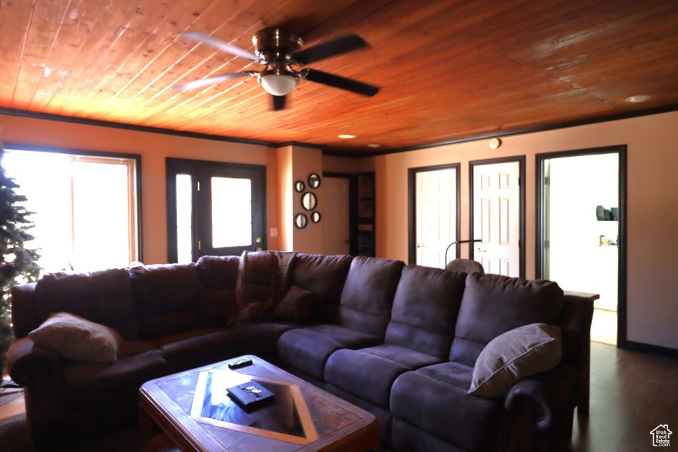 Living room with wooden ceiling and a ceiling fan