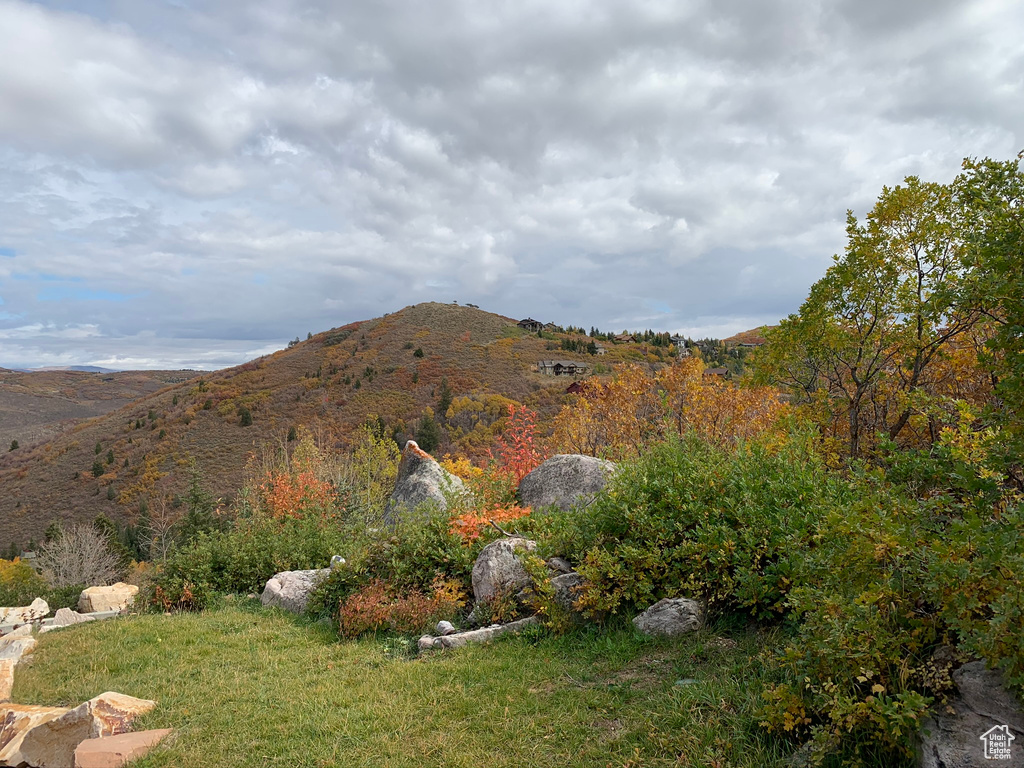 View of mountain background