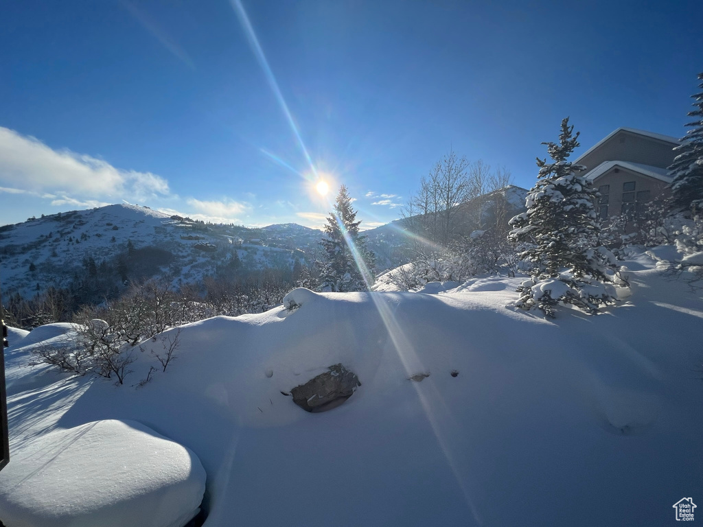 Mountain view