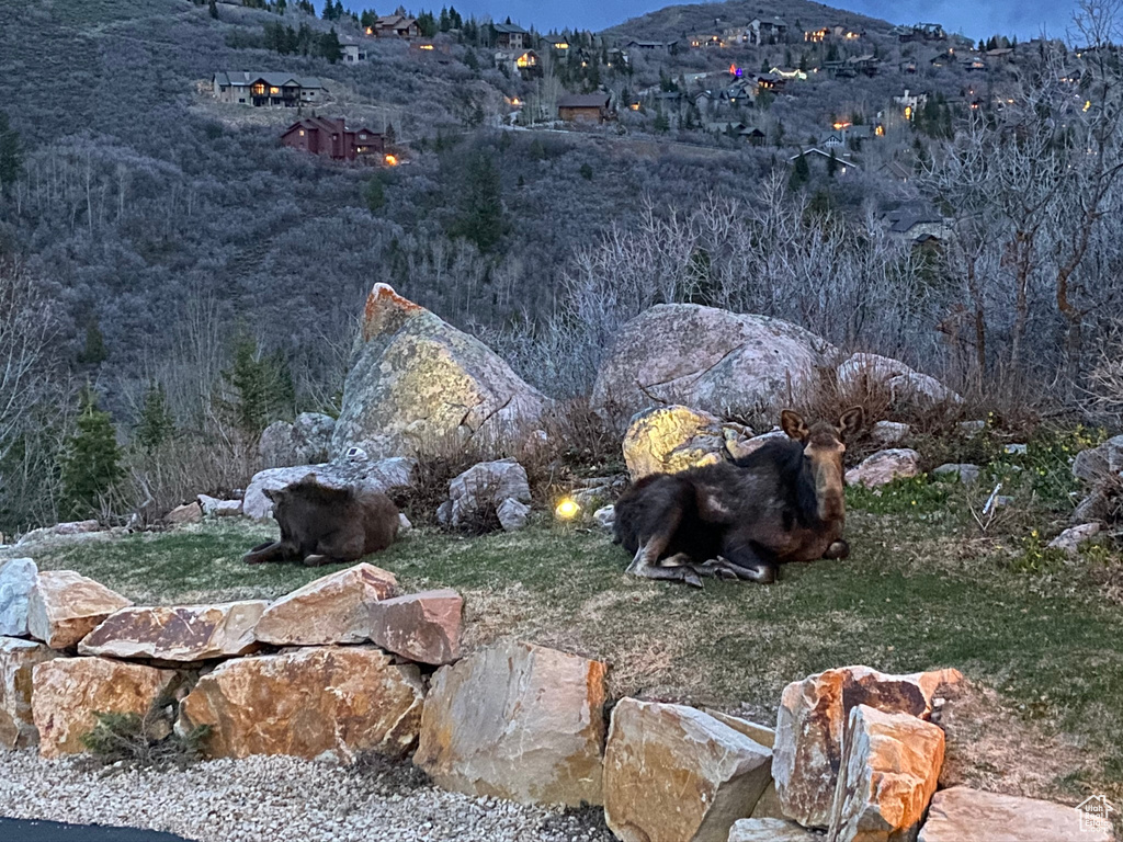 View of yard featuring a mountain view