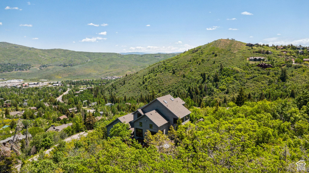View of mountain background featuring a forest