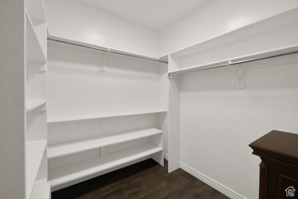 Walk in closet with dark wood-style floors