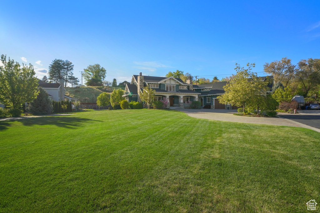 View of grassy yard