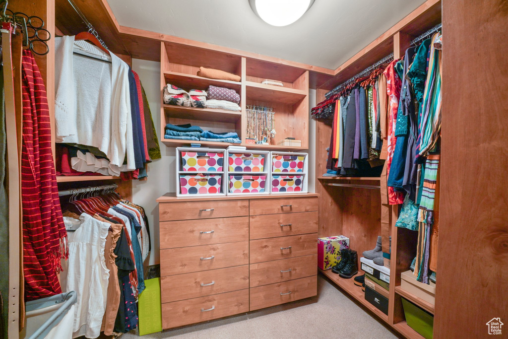 Spacious closet featuring carpet floors