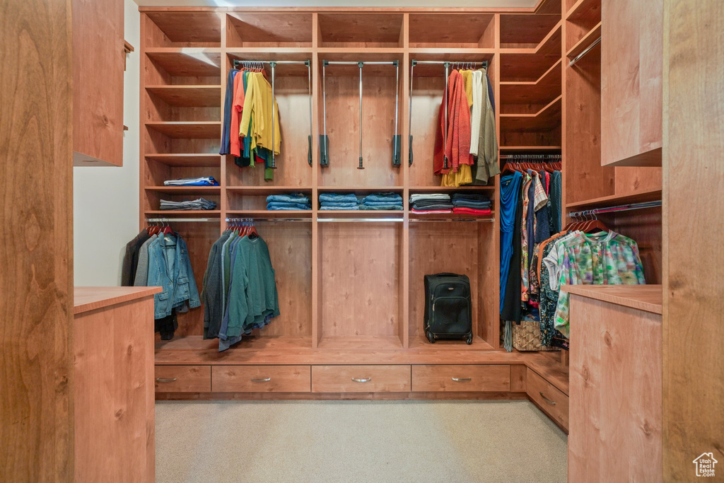 Spacious closet featuring carpet flooring and a wood stove