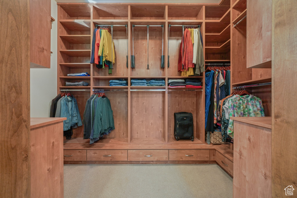 Walk in closet featuring carpet