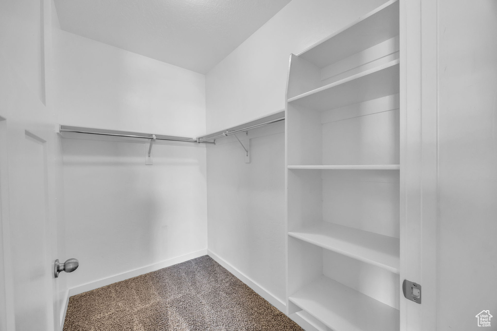 Spacious closet featuring carpet floors