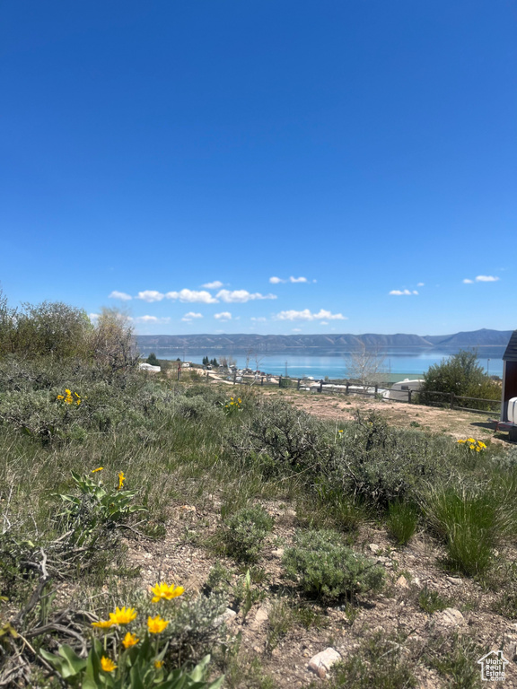 Water view