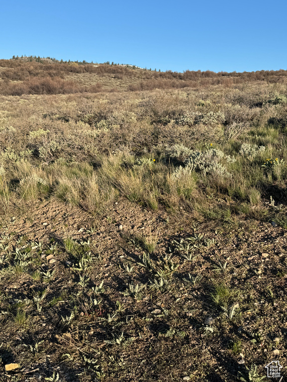 View of local wilderness featuring a rural view