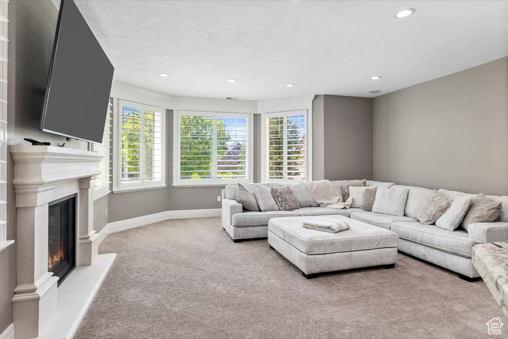 Living room with carpet flooring, a wealth of natural light, baseboards, and a glass covered fireplace