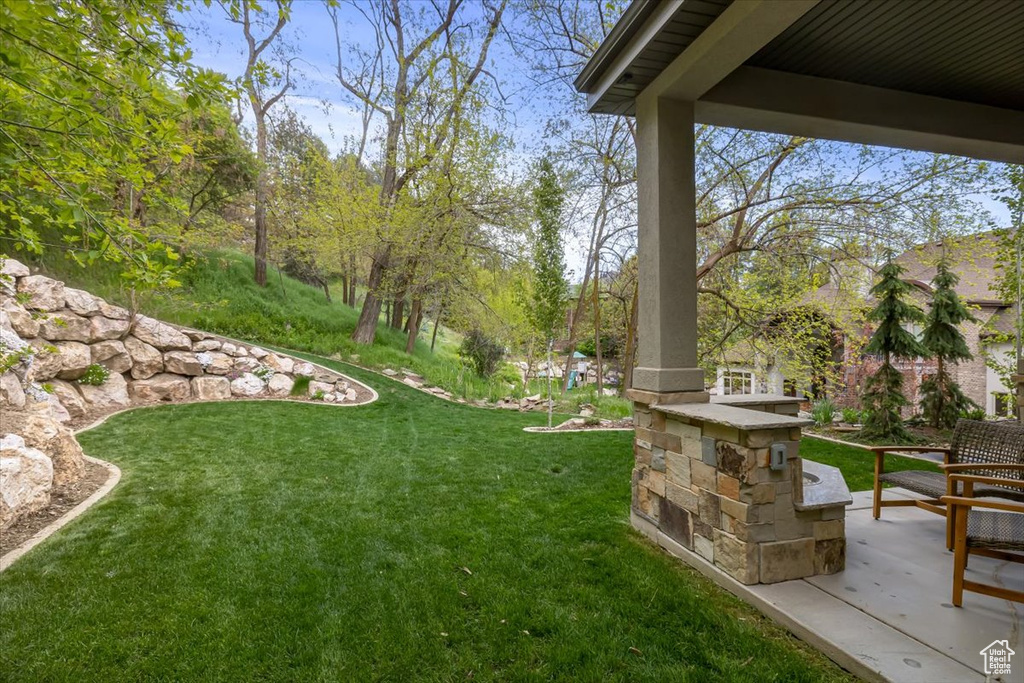 View of yard featuring a patio area