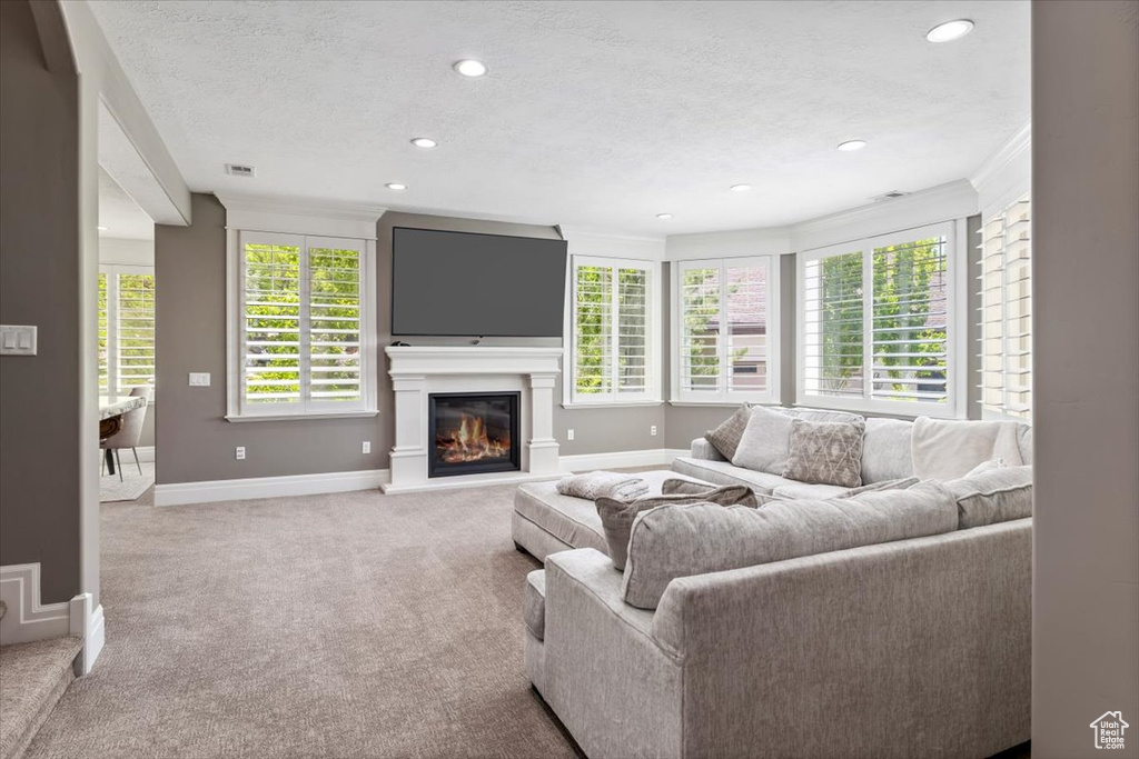 Carpeted living area with baseboards, crown molding, and recessed lighting