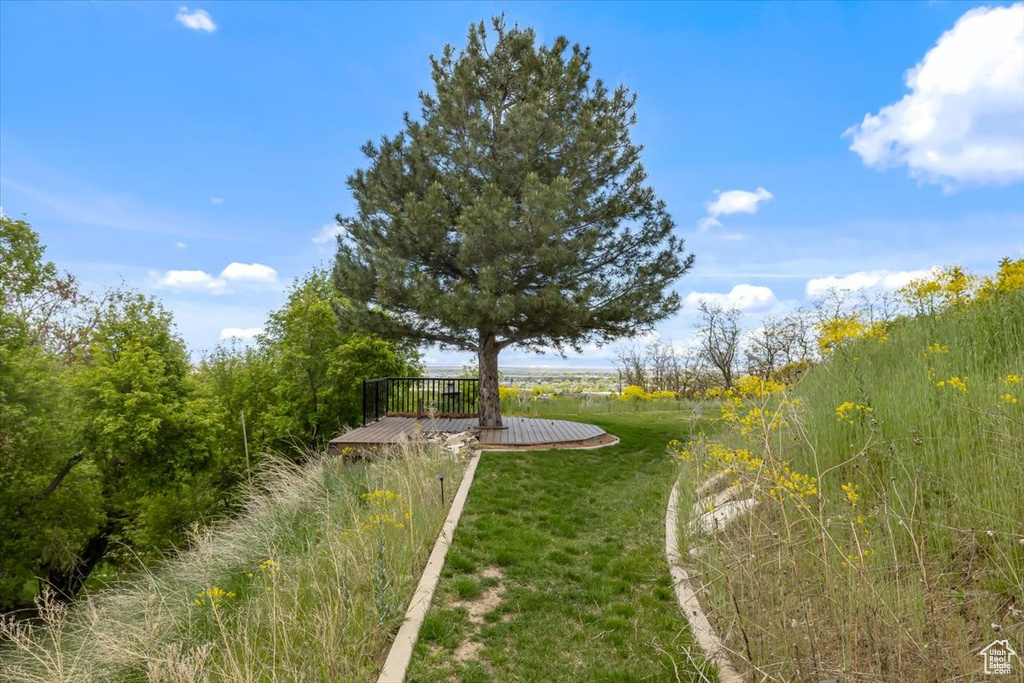 View of yard with a wooden deck