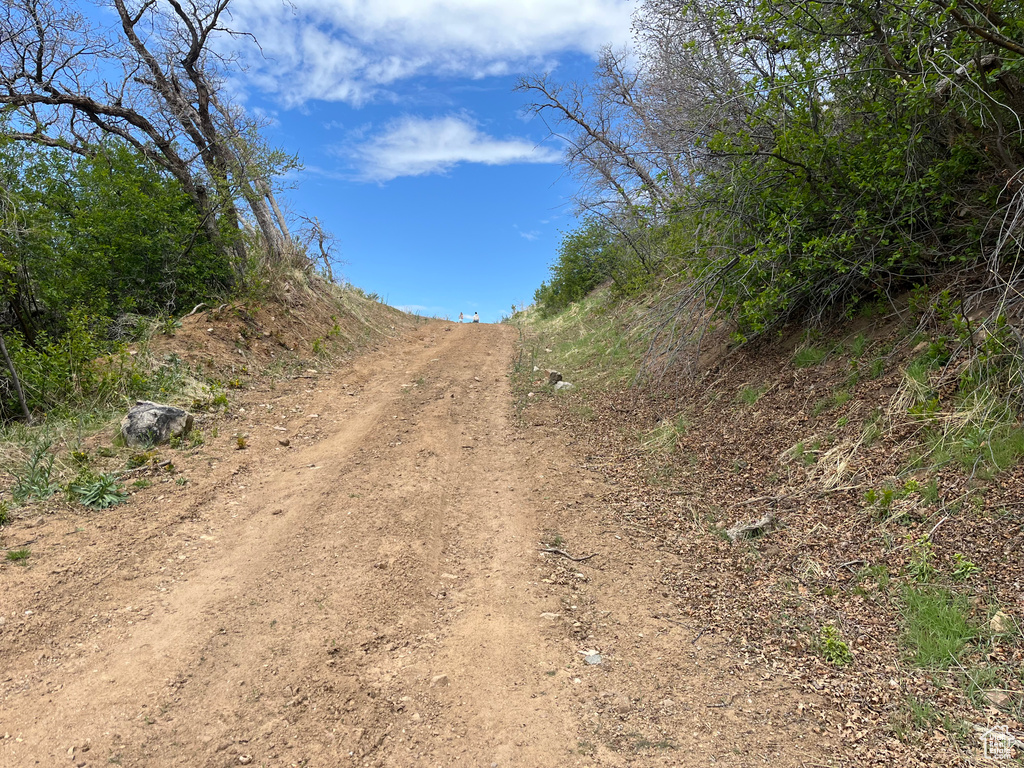 View of road