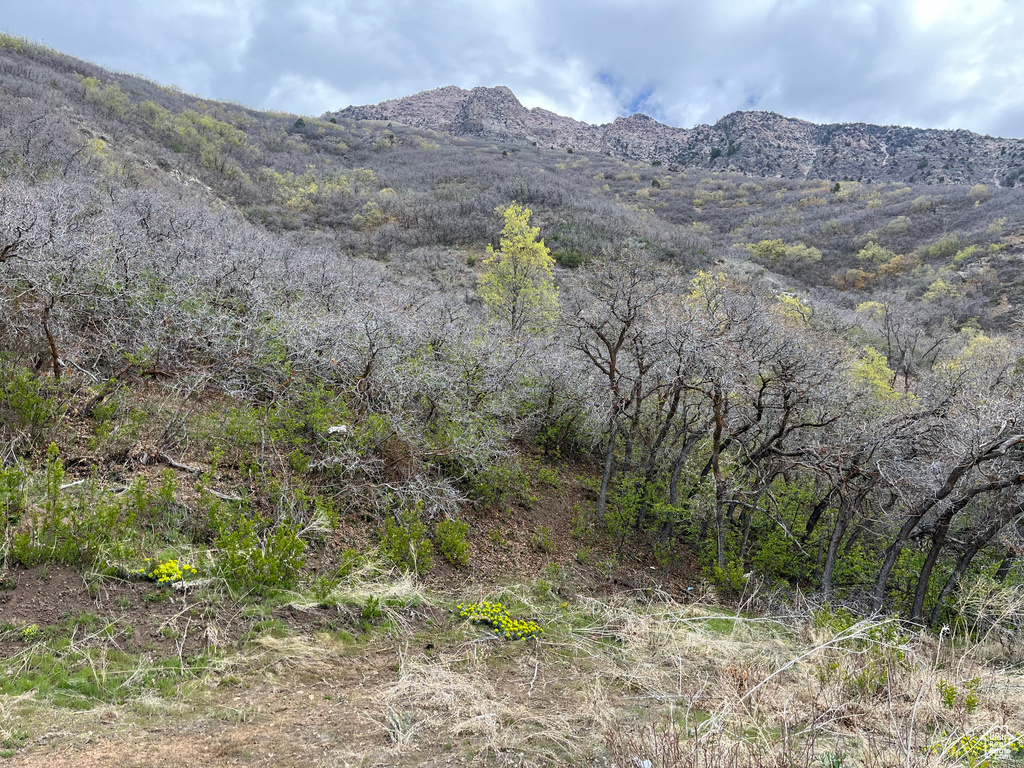 View of mountain feature