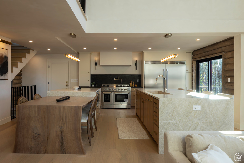 Kitchen with decorative backsplash, a sink, premium appliances, light wood-style floors, and a spacious island