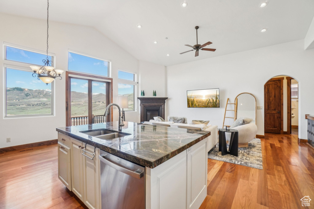 Kitchen with a sink, stainless steel dishwasher, open floor plan, and light wood-type flooring