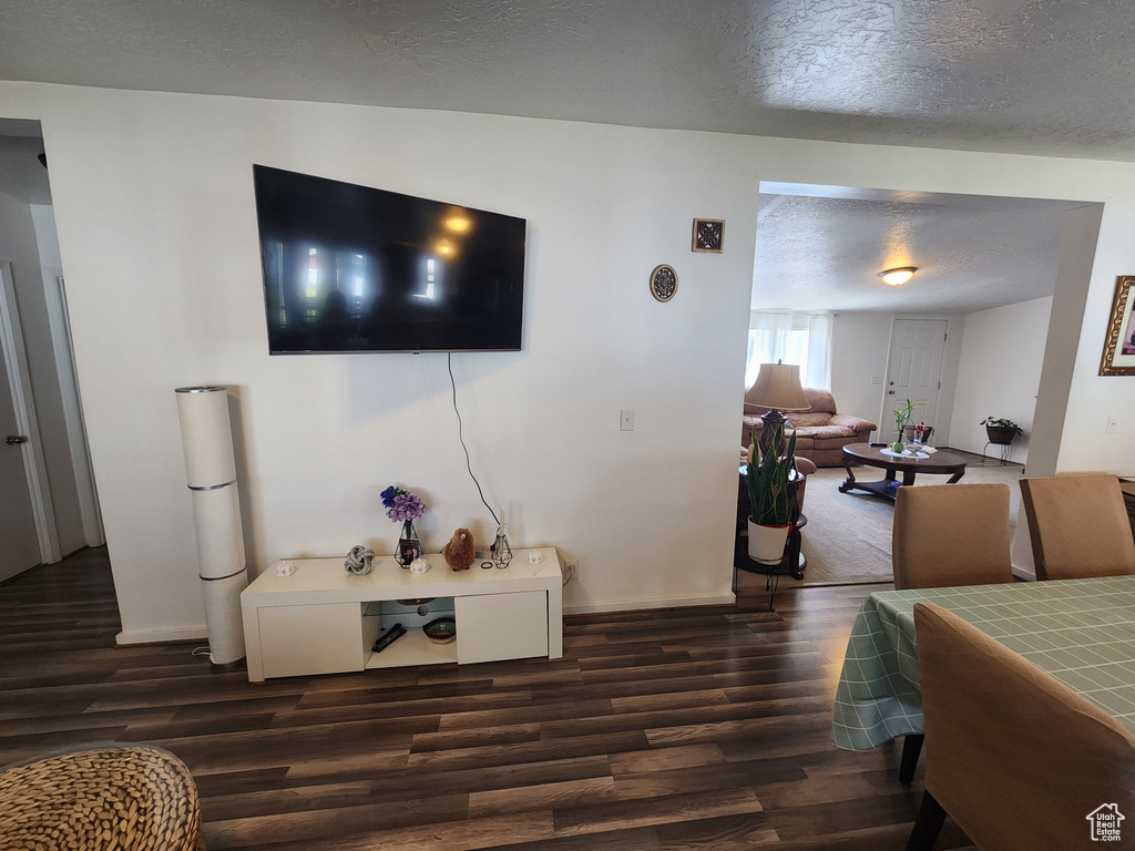 Living room with a textured ceiling, baseboards, and dark wood-type flooring