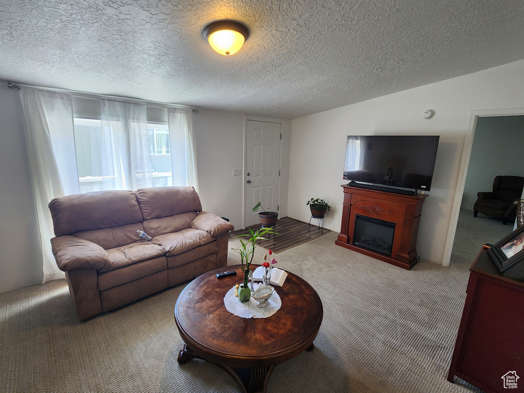 Living area featuring a fireplace, a textured ceiling, and carpet