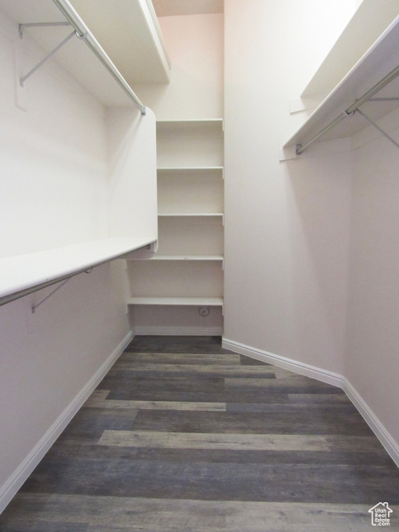 Walk in closet featuring dark wood-style flooring