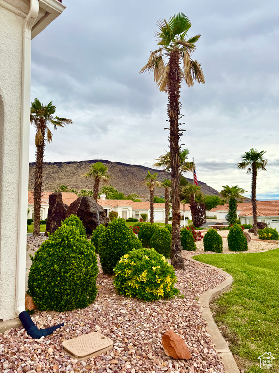 View of yard with a mountain view