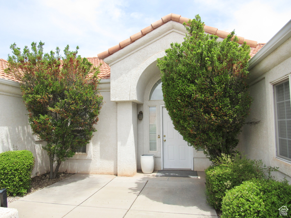 Doorway to property featuring a patio area, stucco siding, and a tile roof