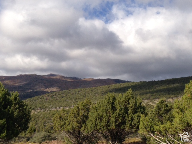 View of mountain feature featuring a view of trees
