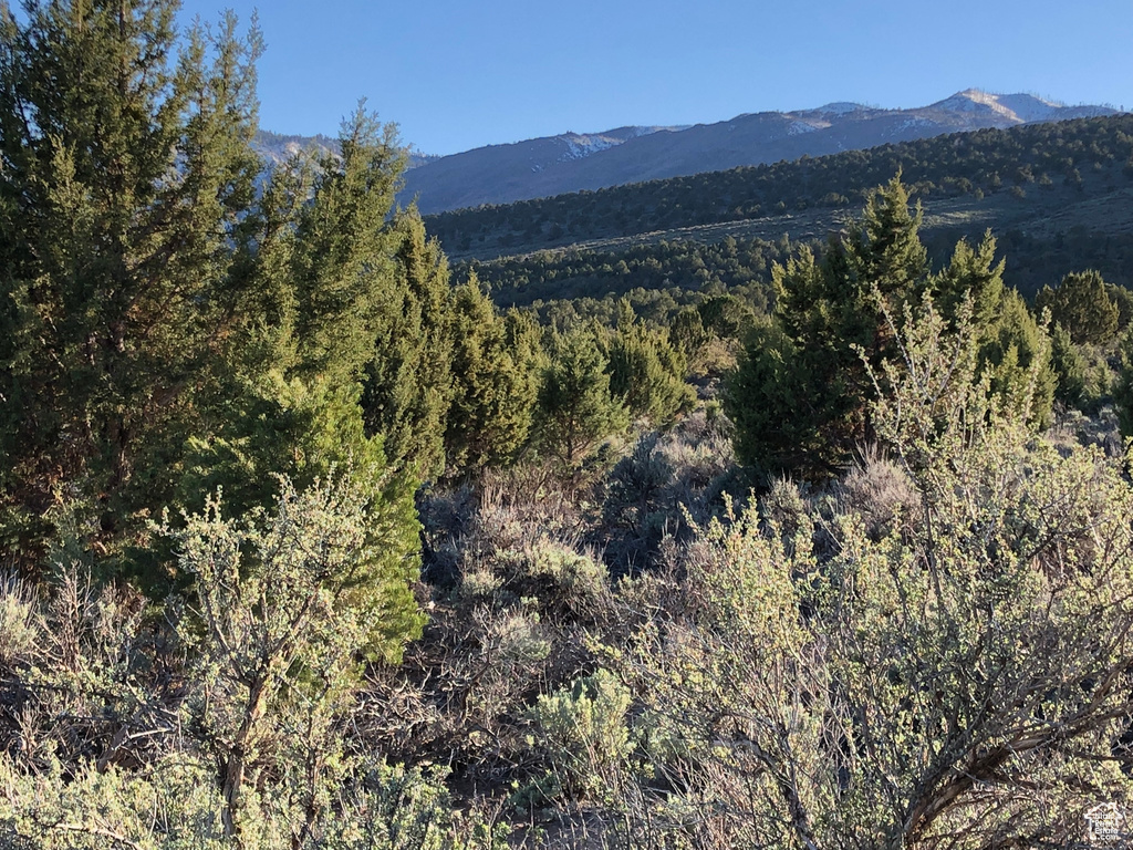 View of mountain feature featuring a view of trees