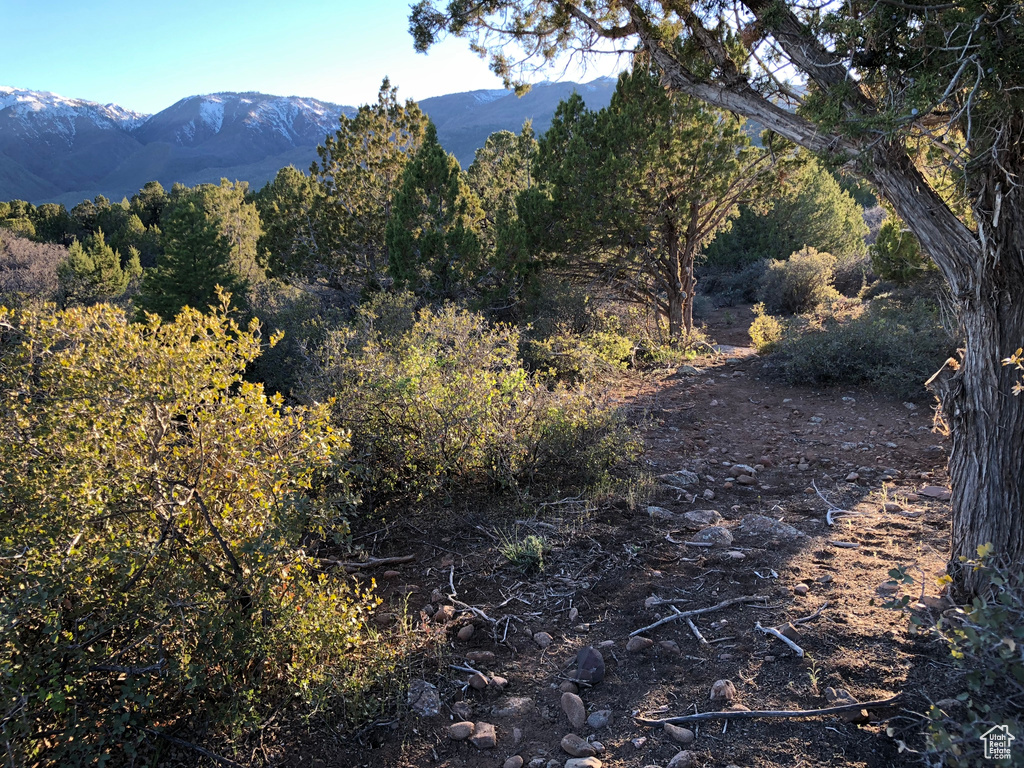 Property view of mountains featuring a forest view