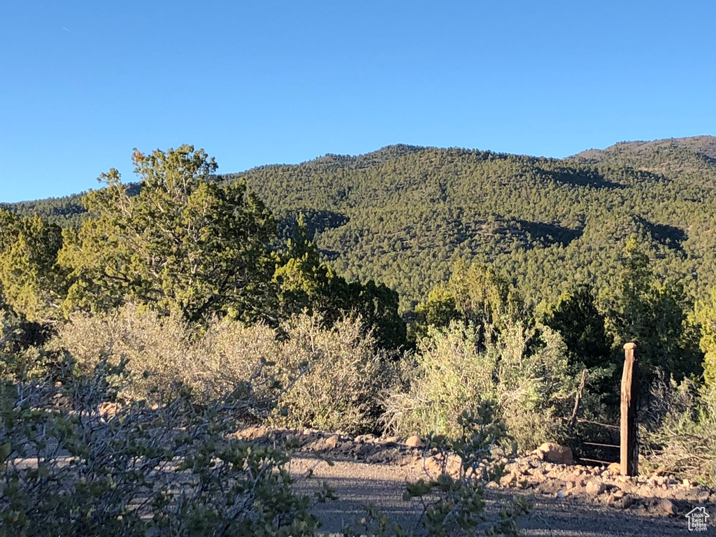 Property view of mountains featuring a view of trees