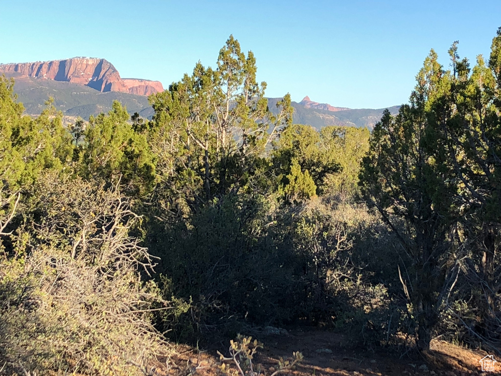 Mountain view