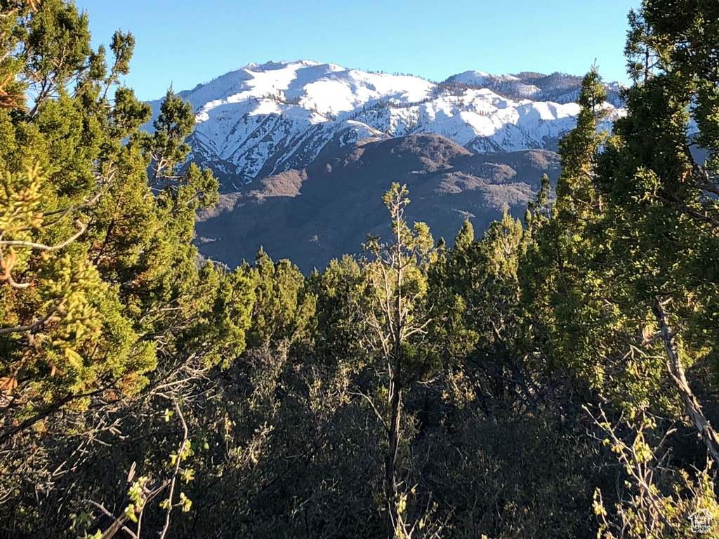 Property view of mountains featuring a forest view