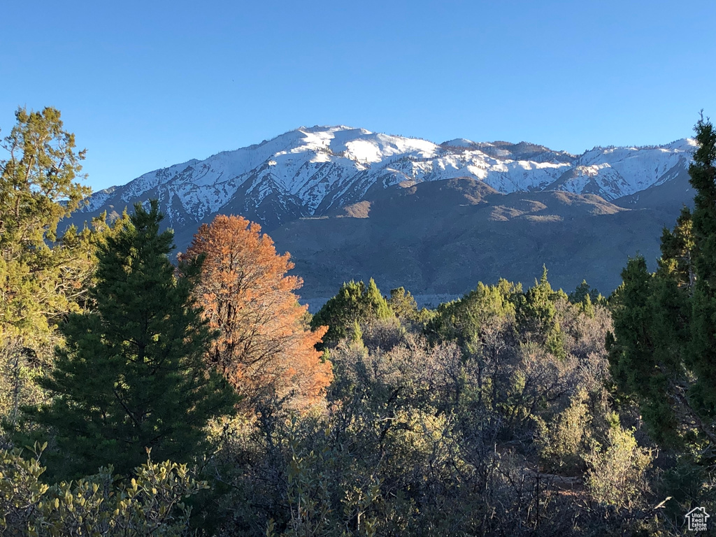 Mountain view