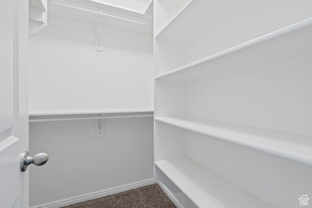 Walk in closet featuring carpet