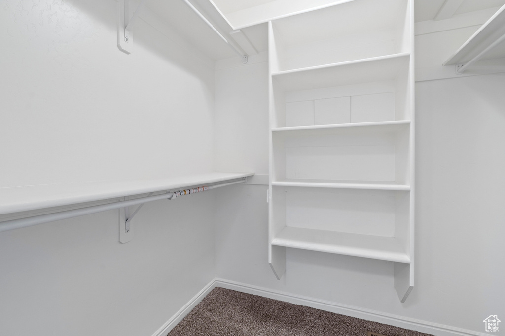 Walk in closet featuring carpet