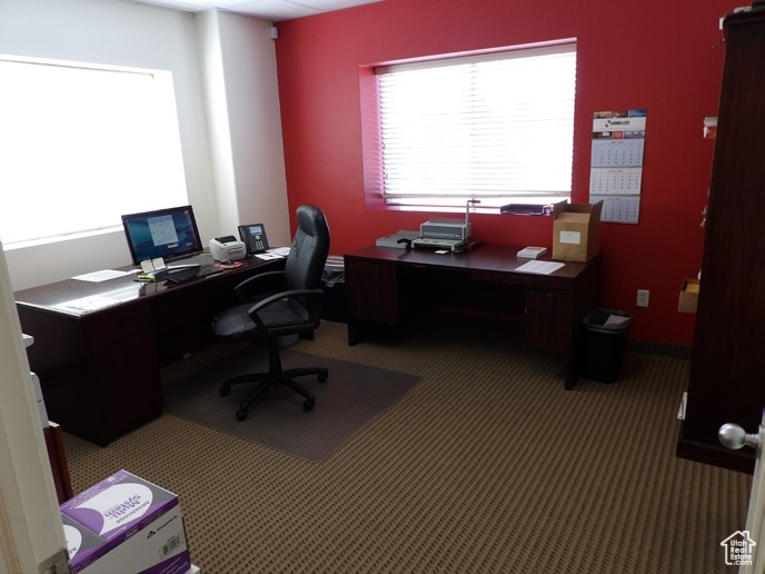 View of carpeted office space